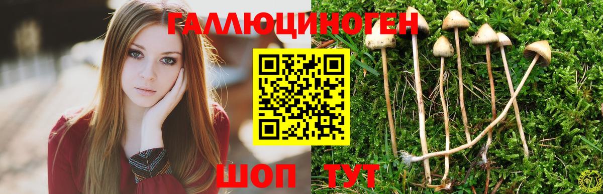 Ахтубинск  Галлюциногенные грибы прущие грибы  продажа наркотиков  Вход с VPN 